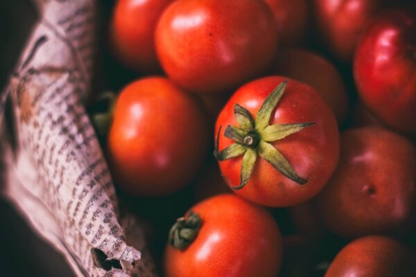 Cherry Pachino Tomatoes