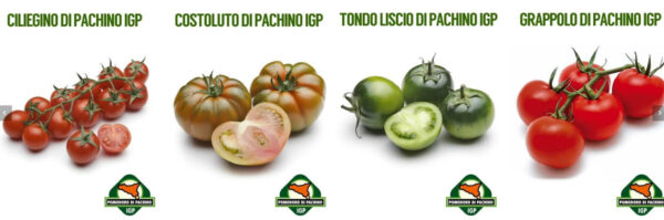 Four varieties of pachino tomatoes